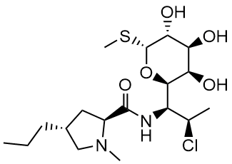 CLINDAMYCIN HCl EP IMPURITY C | 7-EPI CLINDAMYCIN HYDROCHLORIDE